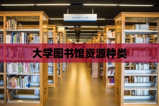 大學(xué)圖書館資源種類