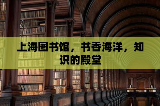 上海圖書館，書香海洋，知識的殿堂