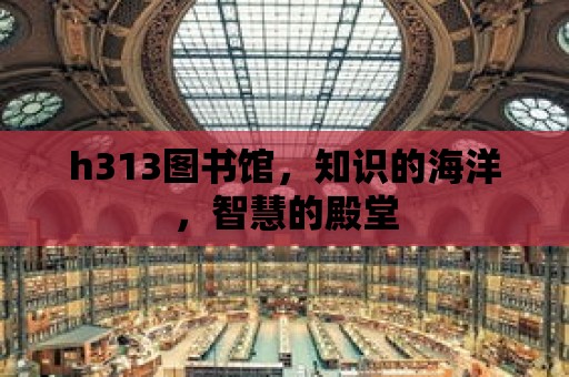 h313圖書館，知識的海洋，智慧的殿堂