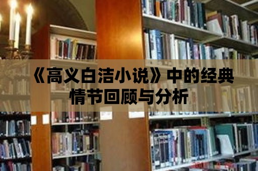 《高義白潔小說》中的經(jīng)典情節(jié)回顧與分析