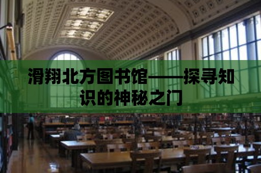 滑翔北方圖書館——探尋知識的神秘之門