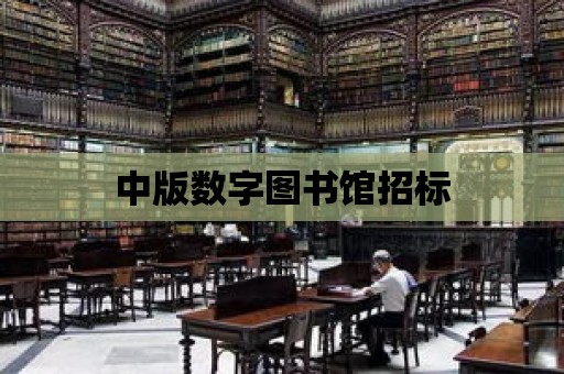 中版數字圖書館招標