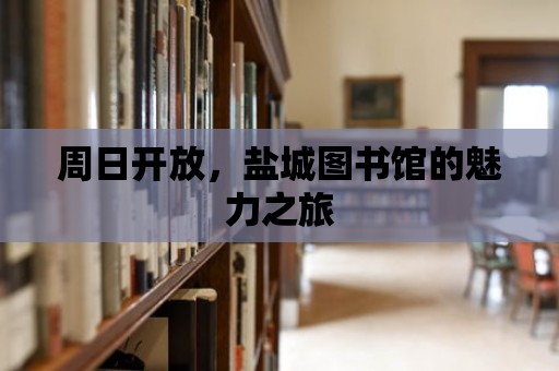 周日開放，鹽城圖書館的魅力之旅