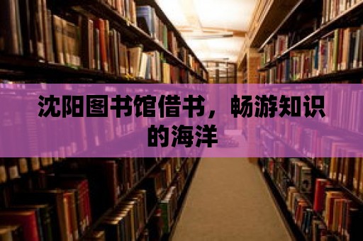 沈陽圖書館借書，暢游知識的海洋