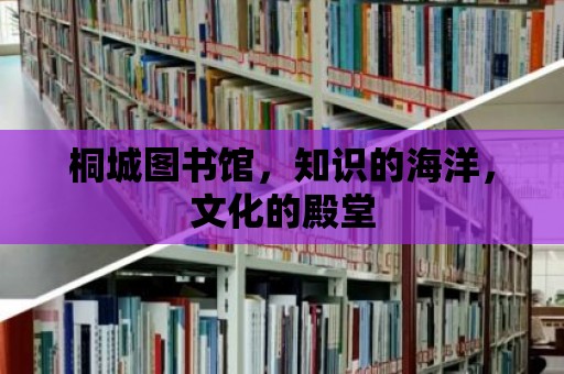 桐城圖書館，知識的海洋，文化的殿堂