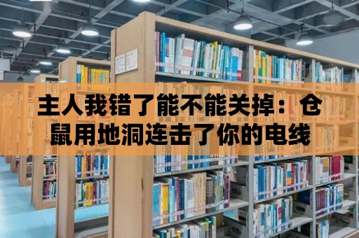 主人我錯了能不能關(guān)掉：倉鼠用地洞連擊了你的電線