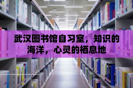 武漢圖書館自習室，知識的海洋，心靈的棲息地