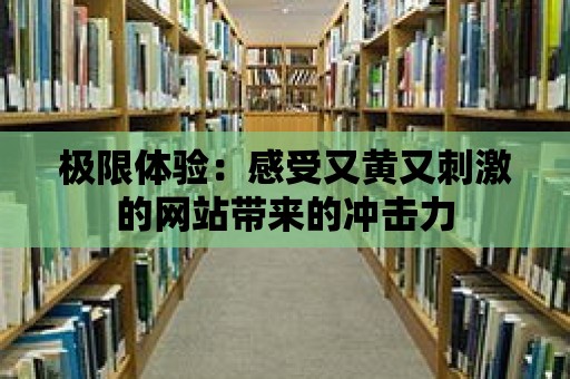 極限體驗：感受又黃又刺激的網站帶來的沖擊力