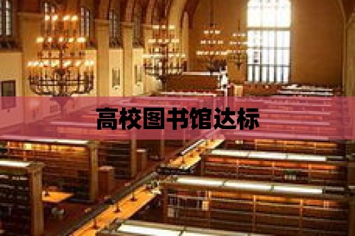 高校圖書館達標