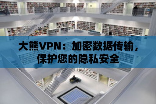 大熊VPN：加密數據傳輸，保護您的隱私安全