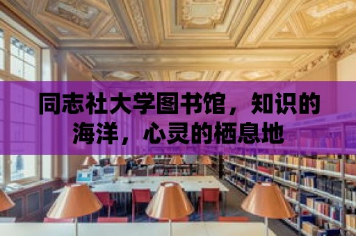 同志社大學圖書館，知識的海洋，心靈的棲息地