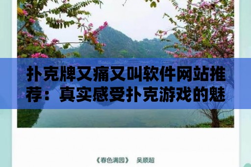 撲克牌又痛又叫軟件網站推薦：真實感受撲克游戲的魅力