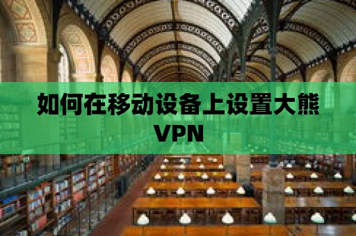 如何在移動(dòng)設(shè)備上設(shè)置大熊VPN