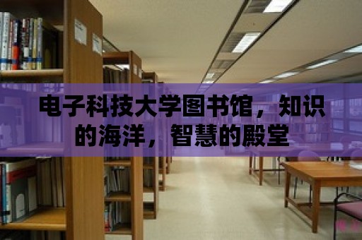 電子科技大學(xué)圖書館，知識的海洋，智慧的殿堂