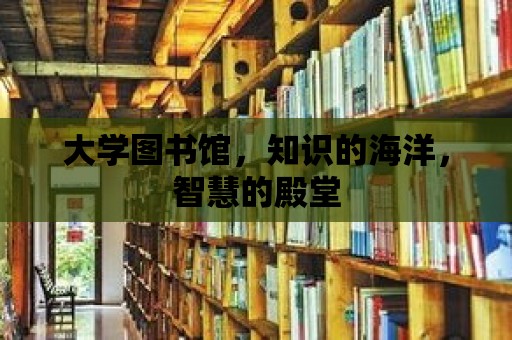 大學(xué)圖書館，知識的海洋，智慧的殿堂