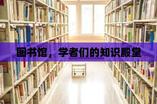 圖書館，學者們的知識殿堂