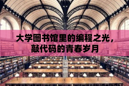 大學(xué)圖書館里的編程之光，敲代碼的青春歲月