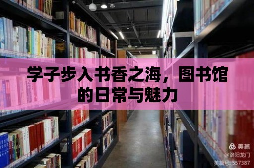 學子步入書香之海，圖書館的日常與魅力