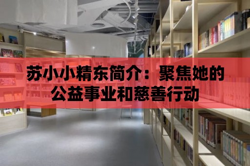 蘇小小精東簡介：聚焦她的公益事業(yè)和慈善行動