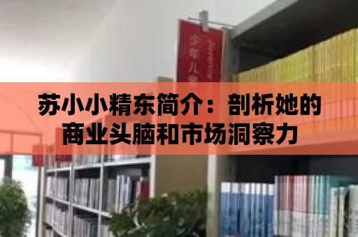 蘇小小精東簡(jiǎn)介：剖析她的商業(yè)頭腦和市場(chǎng)洞察力