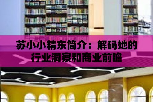 蘇小小精東簡介：解碼她的行業洞察和商業前瞻