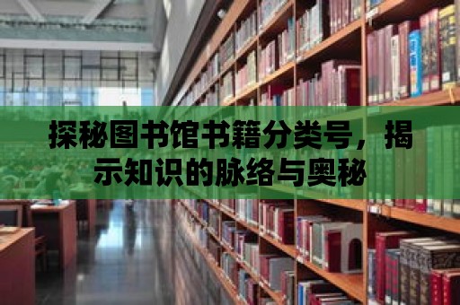 探秘圖書館書籍分類號，揭示知識的脈絡與奧秘