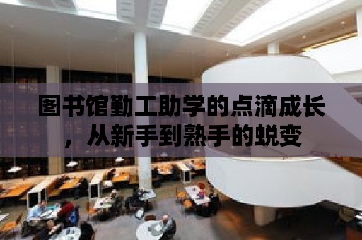 圖書館勤工助學的點滴成長，從新手到熟手的蛻變