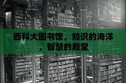 西科大圖書(shū)館，知識(shí)的海洋，智慧的殿堂