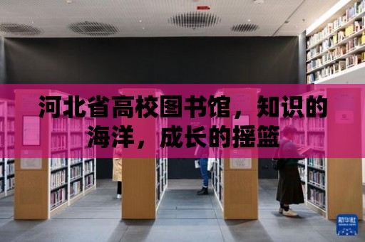 河北省高校圖書館，知識的海洋，成長的搖籃