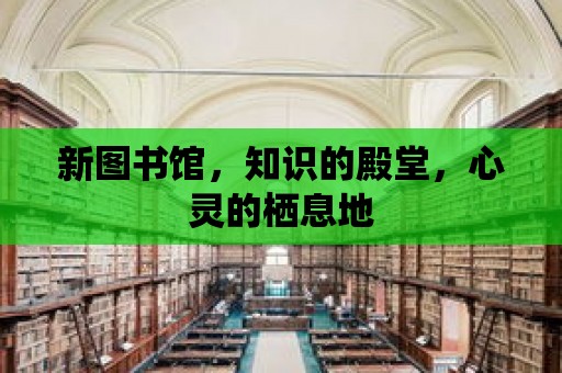 新圖書館，知識的殿堂，心靈的棲息地