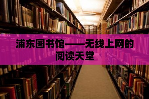 浦東圖書館——無線上網的閱讀天堂