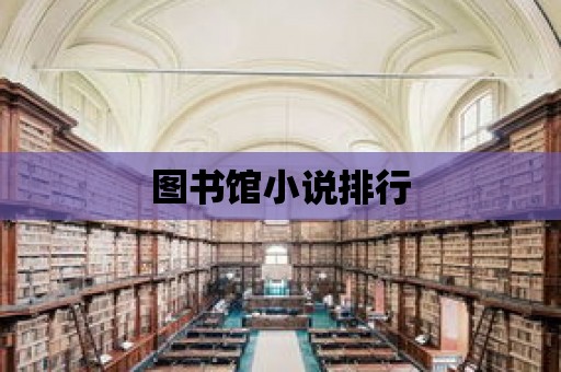 圖書館小說排行