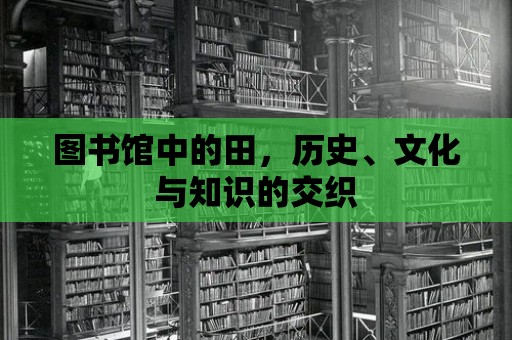 圖書館中的田，歷史、文化與知識的交織