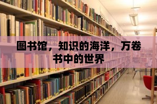 圖書館，知識的海洋，萬卷書中的世界