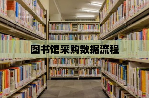 圖書館采購數據流程