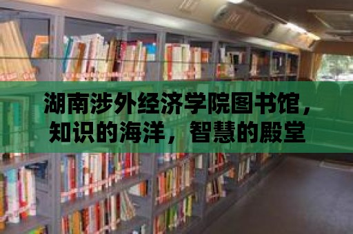 湖南涉外經濟學院圖書館，知識的海洋，智慧的殿堂