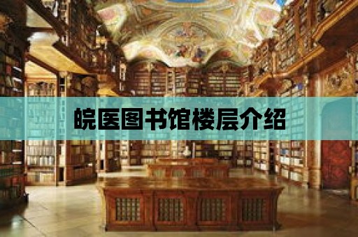 皖醫圖書館樓層介紹