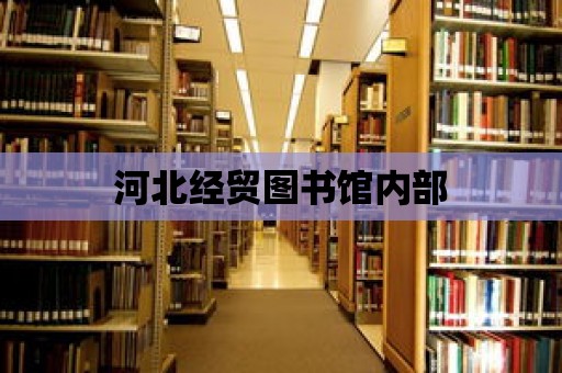 河北經貿圖書館內部