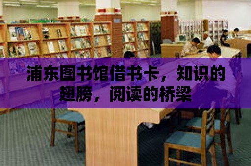 浦東圖書館借書卡，知識的翅膀，閱讀的橋梁