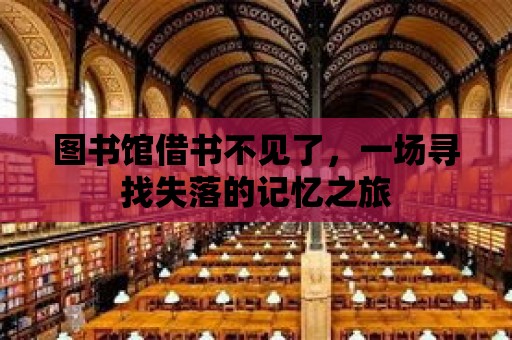 圖書館借書不見了，一場(chǎng)尋找失落的記憶之旅