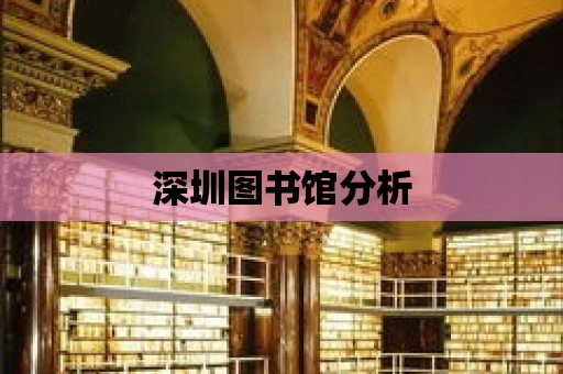 深圳圖書館分析