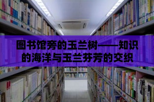 圖書館旁的玉蘭樹——知識的海洋與玉蘭芬芳的交織