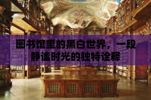 圖書館里的黑白世界，一段靜謐時光的獨特詮釋