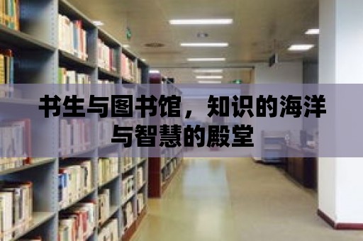 書生與圖書館，知識的海洋與智慧的殿堂