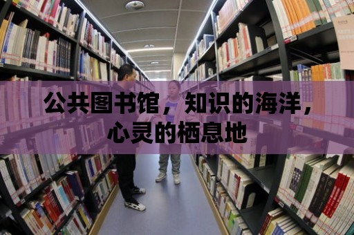 公共圖書館，知識的海洋，心靈的棲息地