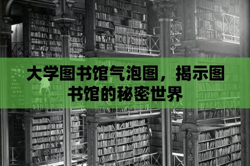 大學圖書館氣泡圖，揭示圖書館的秘密世界