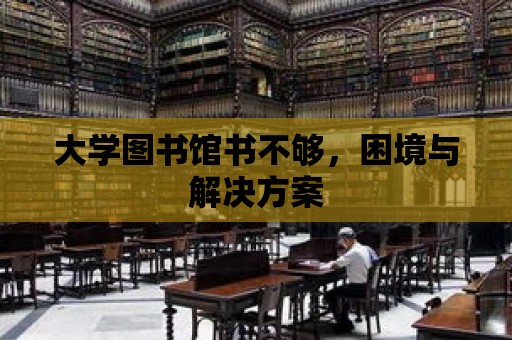 大學圖書館書不夠，困境與解決方案