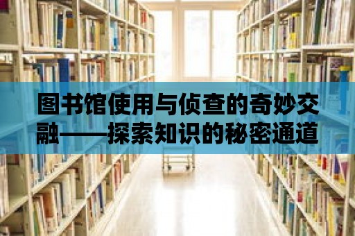 圖書館使用與偵查的奇妙交融——探索知識的秘密通道