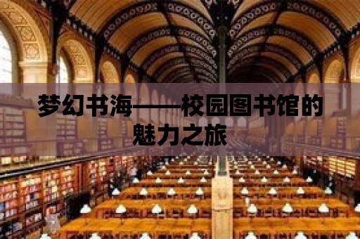 夢幻書海——校園圖書館的魅力之旅