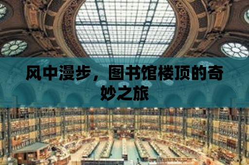 風中漫步，圖書館樓頂的奇妙之旅